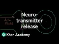 Download Lagu Neurotransmitterafgifte | Fysiologie van het zenuwstelsel | NCLEX-RN | Khan Academy