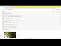 Resize Image using Python and Colab