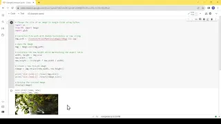 Resize Image using Python and Colab