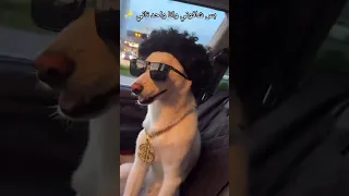 ترند مشافونيش وانا بعانى        مضحك  اكسبلور  لايك دندنها