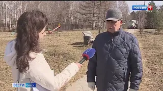 В Омске началась массовая обработка парков от клещей