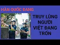 Lagu Hàn Quốc khuyến khích người Việt ở lậu tự nguyện hồi hương 