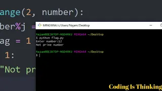 Beginner Python Tutorial - Flag Variable Example Must Watch