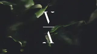 Sultan + Shepard - TNH Mash Up Mix