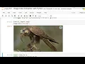 Day 148 Image Color Extraction with Python