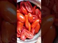 Download Lagu Zijn uw San Marzano-tomaten nep?