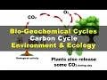 What is Carbon Cycle Environment Ecology