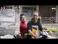 Download Lagu PIKAT BURUNG