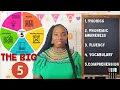 The 5 Components of Reading Phonics Phonemic Awareness Fluency Vocabulary and Comprehension