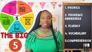 The 5 Components of Reading Phonics Phonemic Awareness Fluency Vocabulary and Comprehension