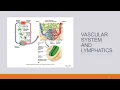 NUR 2030 Jarvis Ch 20 Peripheral Vascular System and Lymphatic System