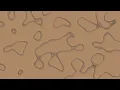 Animated Pattern Overlay Background