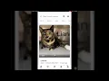 Tech Tutorial Petfinder