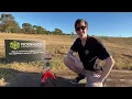 RASLogger Rocket Datalogger - How to
