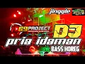 Download Lagu DJ PRIA IDAMAN By 69 project Jinggle Lare Jangkung