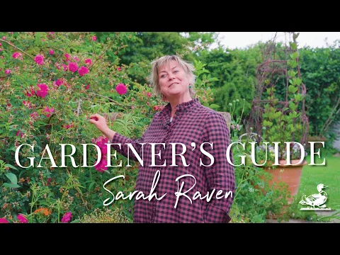 Download MP3 Sarah Raven: Tips And Tricks From Her Perch Hill Garden | Country Living UK