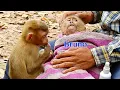 Download Lagu So Sadness Abandoned Bruno Fell On High Tree Got Injury Now
