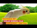 Download Lagu masteran burung falk - Siul Doraemon 1 Jam full