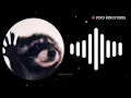 Download Lagu Raffaella Carrà - Pedro (Jaxomy \u0026 Agatino Romero Remix) Ringtone | Pedro Ringtone | Find Ringtones