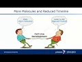 Mapping Cell Line Development Workflows with LabKey Biologics