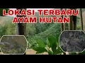 Download Lagu HIT TAPI TERKENDALA EFAKUASI