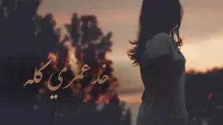 خد عمري كله دندنها