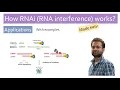 Download Lagu RNA interference (RNAi) Animated | miRNA | siRNA | mRNA regulation | gene silencing | PTGS | RISC
