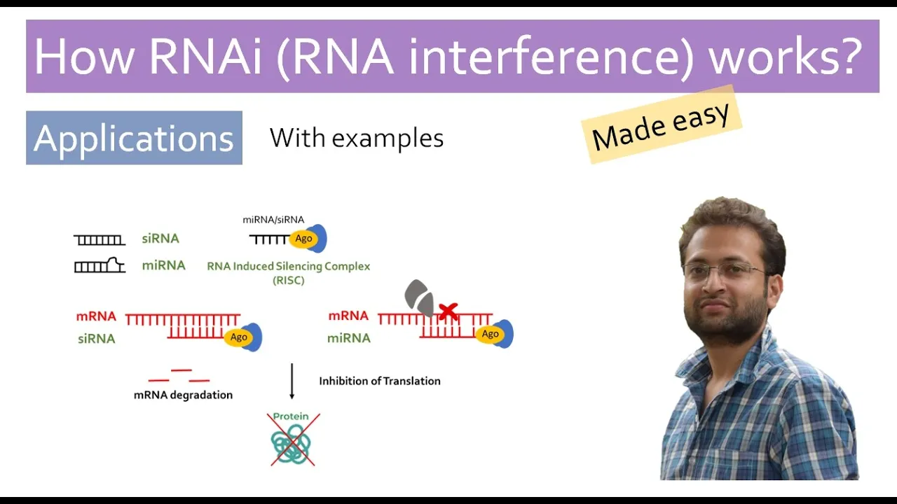 RNA interference (RNAi) Animated | miRNA | siRNA | mRNA regulation | gene silencing | PTGS | RISC