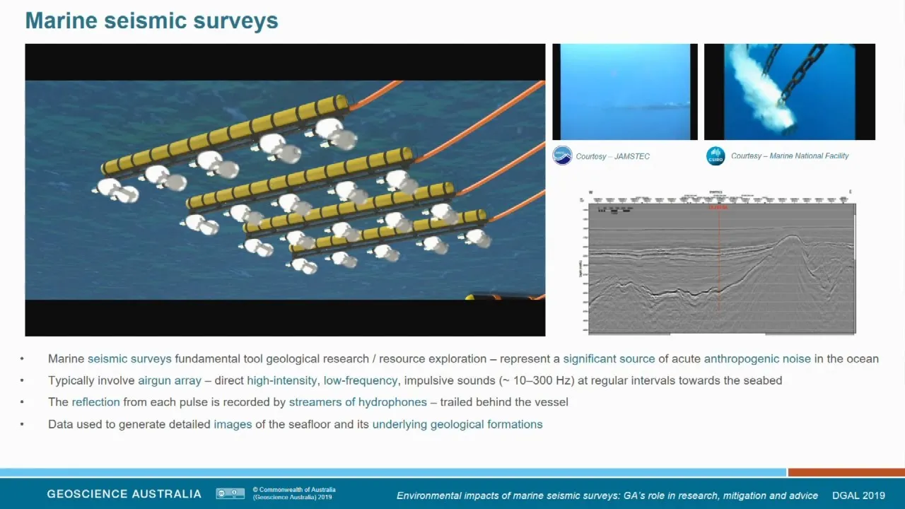 Environmental Impacts of Marine Seismic Surveys