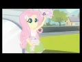 Fluttershy Crying In Japanese