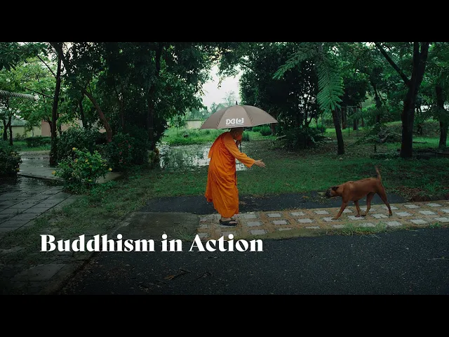 Buddhism in Action | Dhammananda Bhikkhuni