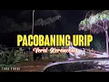 Download Lagu Pacobaning Urip (Kok Koyo Ngene) ▪︎ Versi Keroncong ▪︎ Cover