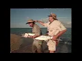 Download Lagu Best of 1996 Crocodiles, Sharks, NZ Trout, Mangrove Jacks and BIG BARRACUDA