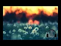 Sam Feldt & Kav Verhouzer - Hot Skin