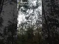Download Lagu apa.yang.membuat.dirimu.mencintaiku