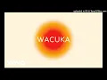 AVAION, Sofiya Nzau - Wacuka (Instrumental)