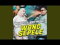 Download Lagu Wong Sepele (feat. Woro Widowati)