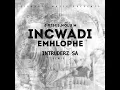 Download Lagu J Vibes-Incwadi Emhlophe(Feat Nolu M)(Intruderz SA Remix)