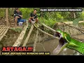 Download Lagu YA TUHAN.!!! INI REJEKI ATAU MUSIBAH MANCING IKAN DAPAT ULAR || INI BENAR² MONSTER BERSISIK HIJAU