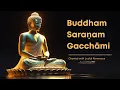 Buddham Saranam Gacchami | Most Powerful Buddha Mantra for Daily Chanting #buddha #buddhistmantra