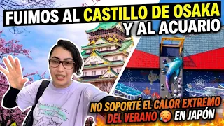 Fuimos al Castillo de Osaka y al Acuario... ¡pero el calor nos destruyó! 🔥😵‍💫 