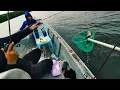 Download Lagu Mancing Bottom Drift Di Sungai Redan Pontian
