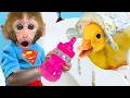 Download Lagu Monkey baby bon bon |#viralvideo #cartoon #shorts #shortvideo #short #trending