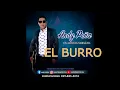 Andy Peña - El burro - 2022   Cantante original -Rompiendo tarima.