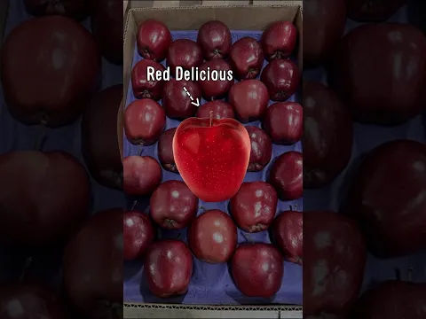 the quest for the perfect apple 🍎