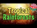 Download Lagu Wat zijn tropische regenwouden?