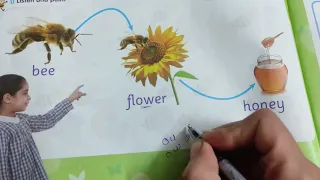 شرح منهج كجى 1 KG الجديد 2024 الوحده الاول Unit 1 الجزءالاول 