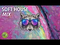 Download Lagu Deep Focus Upbeat Study Music Soft House Raccoon Mix, Isochronic Tones