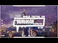 马二郎 - 妈妈的话 (抖音热播DJ版) Lời Mẹ Nói (Remix) 『从小的时候就经常 听我妈妈讲，长大以后不会遇上 童话中的姑娘』【2k22抖音火流行歌曲推荐TikTok】