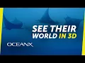 Revealing the Secret Lives of Devil Rays
